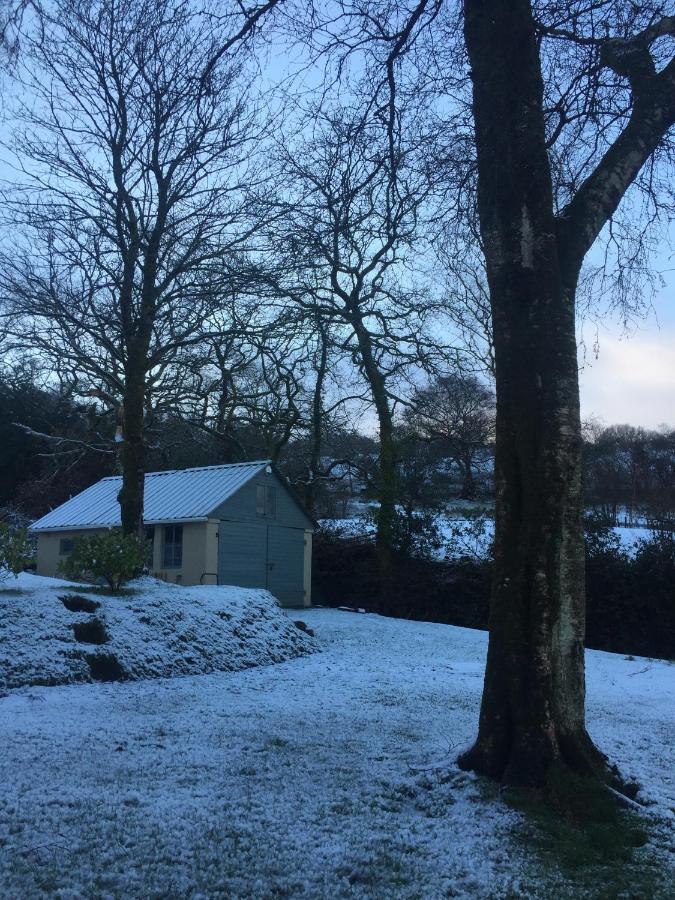 スウォンジー Efail Y Garn Bed & Breakfast エクステリア 写真